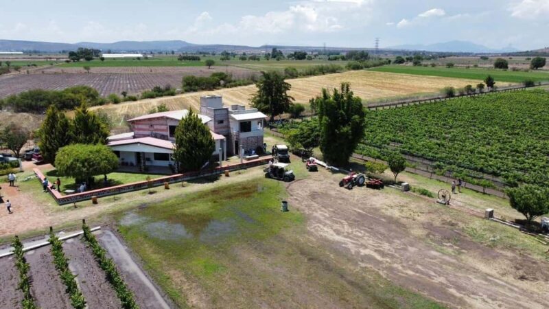 Tequisquiapan: UTV Tour with Wine Tasting and Cheese Pairing - An Off-Road Adventure with a Tasting Twist