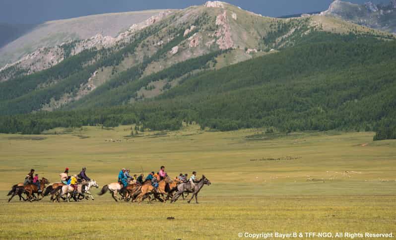 Terelj National Park: Tour with horse riding and hiking - The Value of This Tour