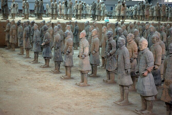 Terra-cotta Warriors Entrance Ticket with Optional Guided Service - Who Will Benefit Most?
