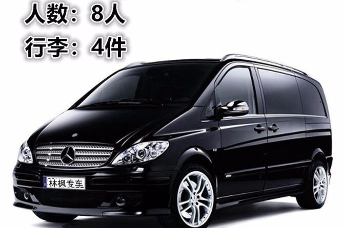 Terracotta Army, Big Wild Goose Pagoda&City Wall Full Day Tour - Who Should Consider This Tour?