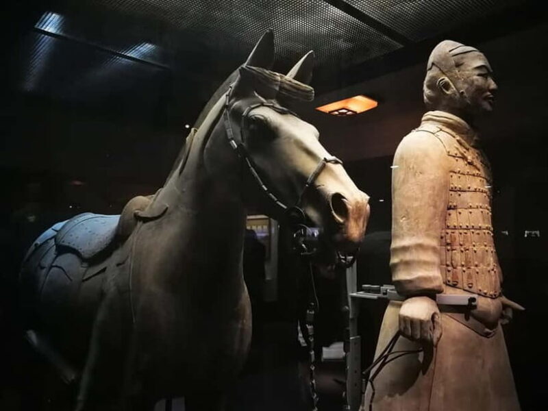 Terracotta Army E Ticket with Optional Transfer or Guide - Why the Tour Offers Great Value