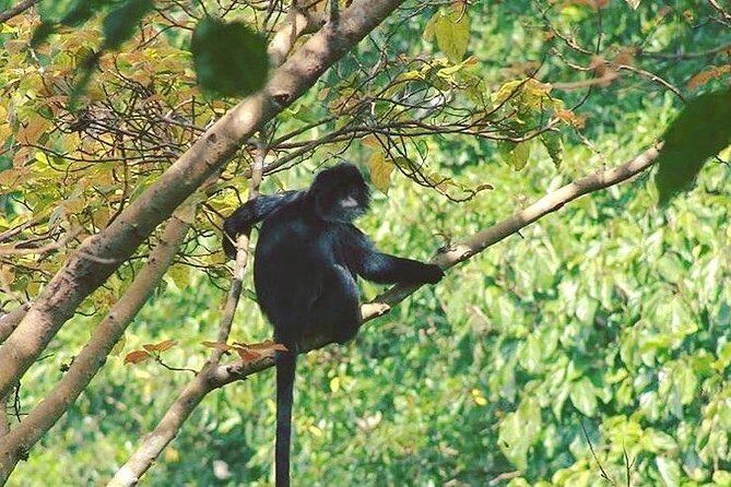 Tete Batu Tour (Temple, Terrace Rice, and Waterfalls) - Key Points