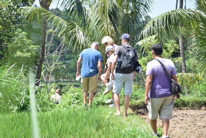 Tetebatu Walking Tour - Rice Terraces, Waterfall & Monkey Forest - The Highlights in Detail