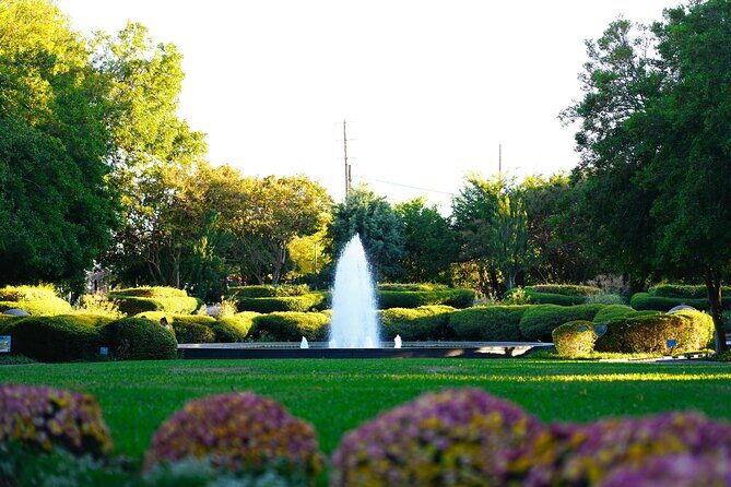 Texas Discovery Gardens General Admission - Authentic Visitor Perspectives