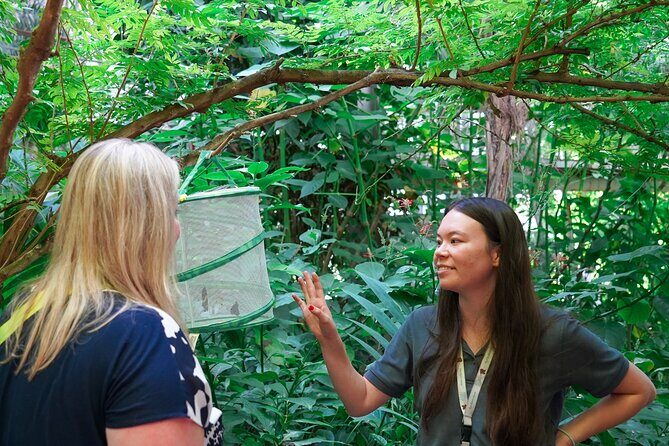 Texas Discovery Gardens General Admission - FAQ
