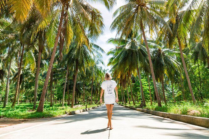 Thai Intro - FAQs
