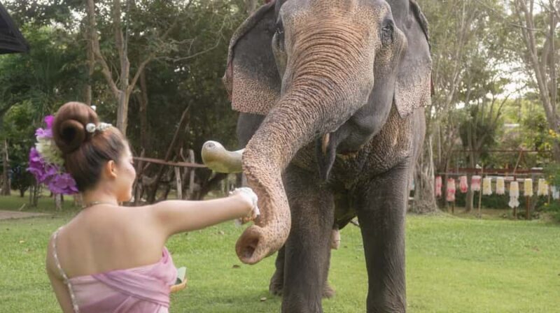 Thai Thani Cultural Village Admission Ticket ( PACKAGE - B ) - Practical Details and What It Means for Travelers