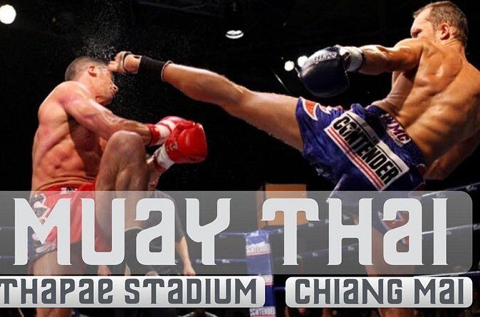 Thapae Stadium Muay Thai Boxing Experience Chiang Mai - Reviews from Past Participants