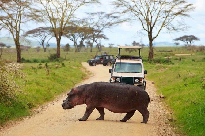 The Admirable Mikumi National Park - 2 Days - Key Points