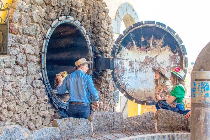 The Agave Experience Tequila Tour in Jalisco - The Real Value for Travelers