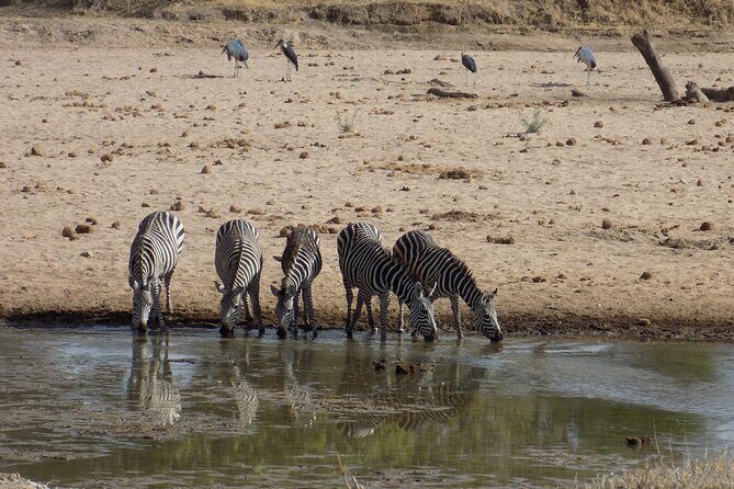 The Amaizing Private Day Trip to the lovely Arusha National Park - Who Is This Tour Best For?