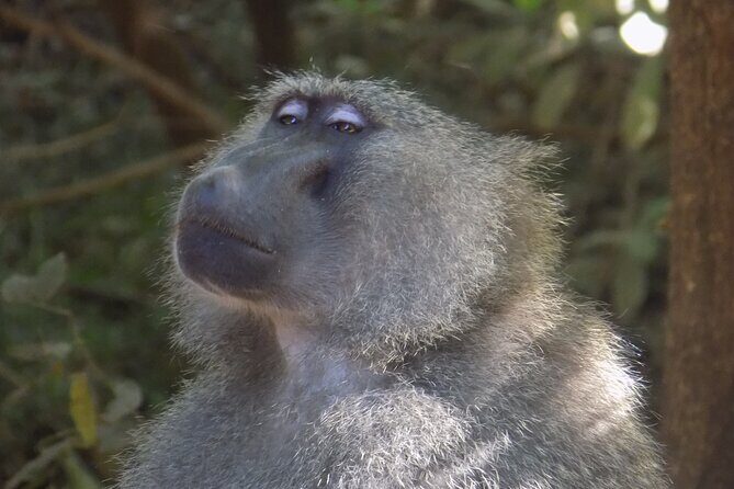 The Amaizing Private Day Trip to the lovely Arusha National Park - Final Thoughts