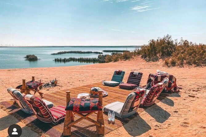 The Amazing Asfar Lake at Al Ahsa Desert - Why You Should Book This Tour