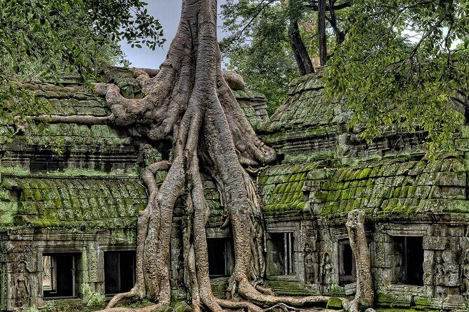 The Angkor Temples from Sunrise by Tuk Tuk - Transportation and Group Size