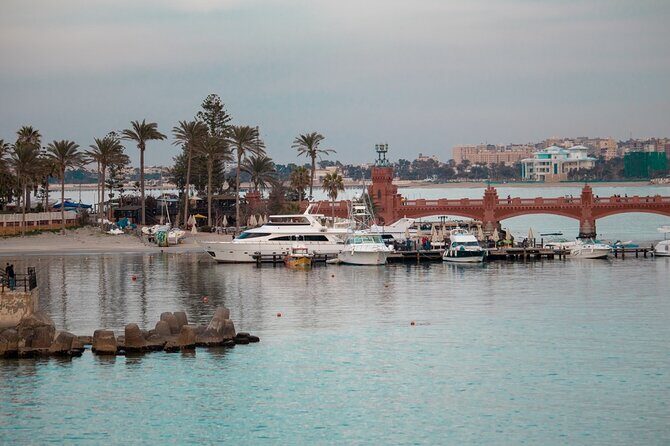 The Battlefield of El Alamein from Alexandria Port - Return to Alexandria