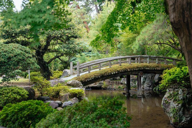 The Beauty of Kyoto by Bike: Private Tour - Who Is This Tour Best For?