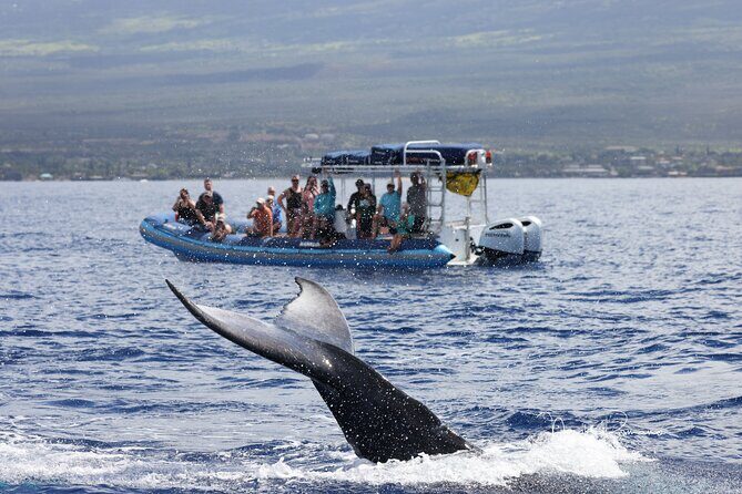 The Best 10 am 1.5 Hour Whale Watching Tour - Final Thoughts