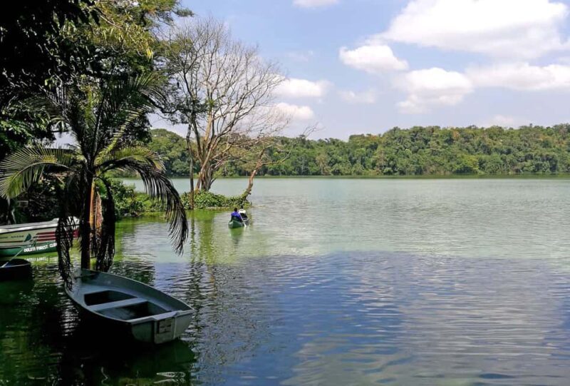 The Best 10 Days Private & Luxury Tanzania Safari - Tours - Key Points