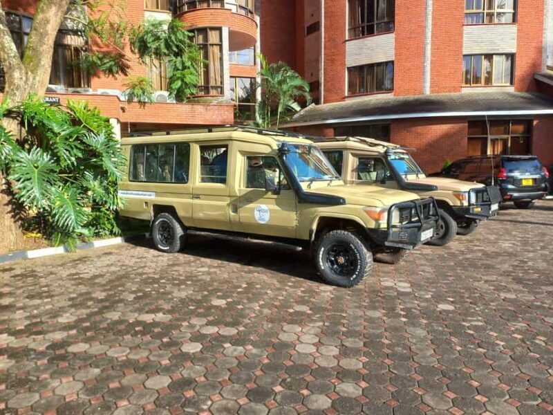The Best 10 Days Private & Luxury Tanzania Safari - Tours - Frequently Asked Questions