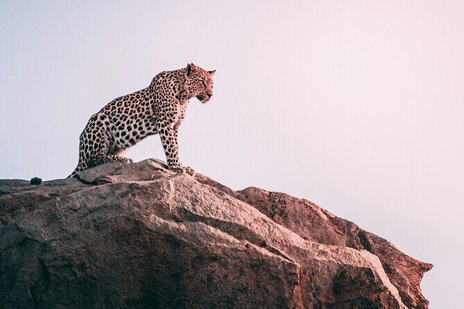 The Best 2-Days 1-night Tanzania Budget Group Joining Safari Tour - An Introduction to the Experience