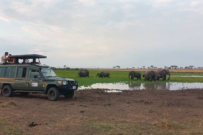 The Best 3Days Start from Mwanza to Serengeti' through Viator - Final Thoughts
