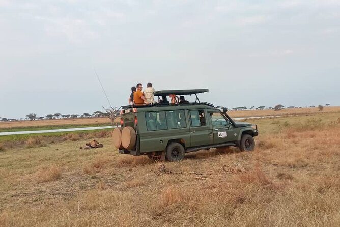 The Best 3Days Start from Mwanza to Serengeti' through Viator - Frequently Asked Questions