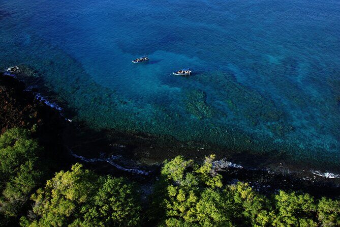 The Best 4 hour inclusive Kanaio Sea Caves and La Perouse Snorkel - Key Points