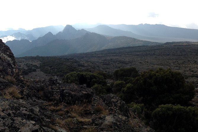 The best 6-Days Kilimanjaro hiking (Machame route)whiskey route - FAQ