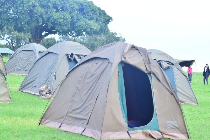 The Best and Most Affordable 4-Day Tanzania Budget Private Safari - FAQ