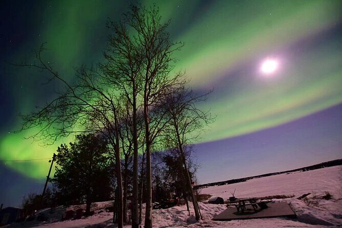 The Best Aurora Tour - The Sum Up
