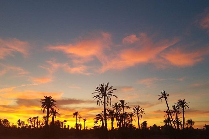 the best Camel ride exp in desert of Marrakech - Discover Marrakech’s Desert Oasis with a Camel Ride