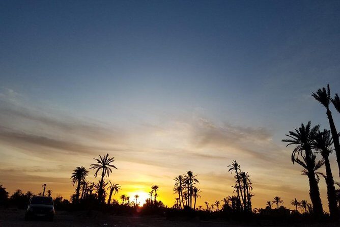the best Camel ride exp in desert of Marrakech - What Makes This Camel Ride Stand Out?