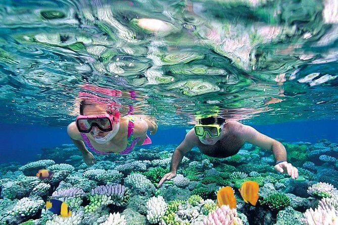 The Best Catamaran Tour to Isla Mujeres from Cancún - Practical Tips for Participants
