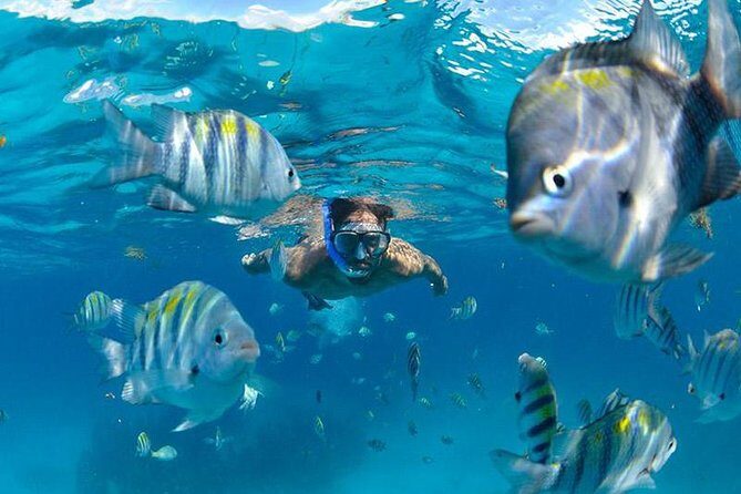 The Best Catamaran Tour to Isla Mujeres from Cancún - The Sum Up