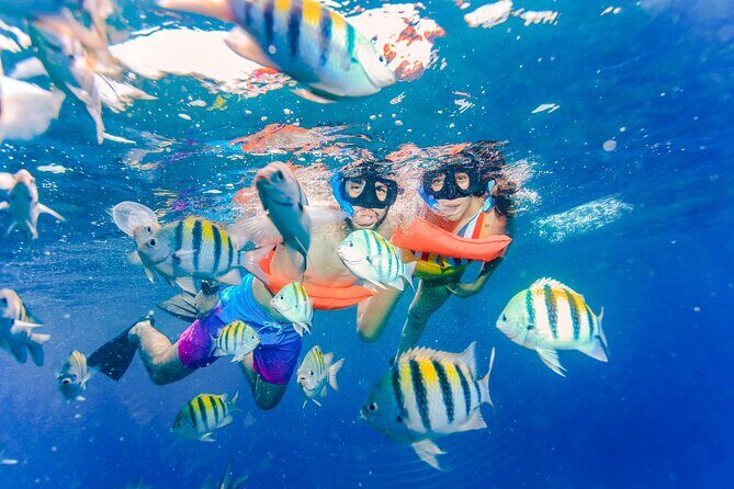 The Best Catamaran tour to Isla Mujeres with Open Bar and Lunch - The Sum Up