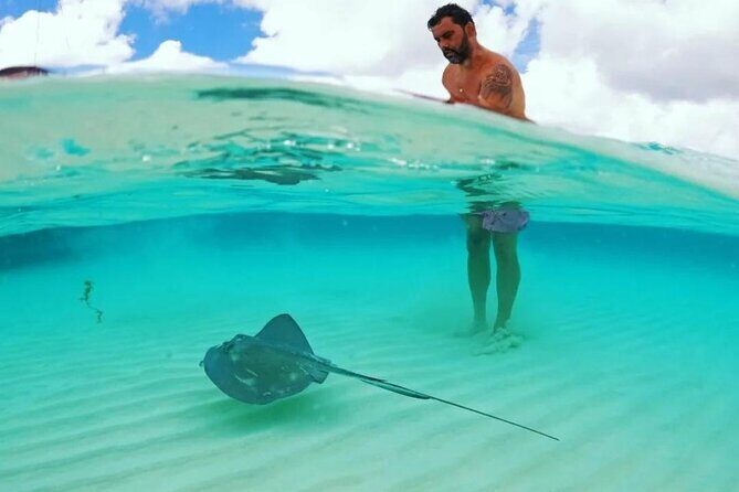 The Best Cozumel Snorkeling Tour Palancar, Colombia and El Cielo Reefs - How the Tour Works in Practice