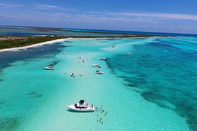 The Best Cozumel Snorkeling Tour Palancar, Colombia and El Cielo Reefs - Practical Tips for Travelers