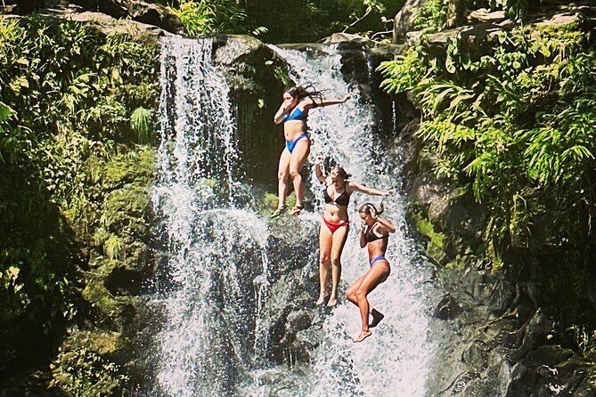 The best half day of your life! Luxury Road to Hana private tour - What Makes This Tour Stand Out?