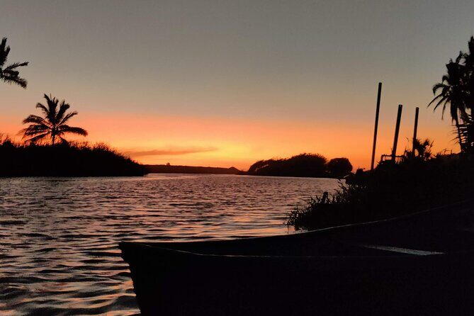 The Best Horseback Riding Trip: Wildlife, Rivers, Beach, Sunset.. - An In-Depth Look at the Horseback Riding Experience