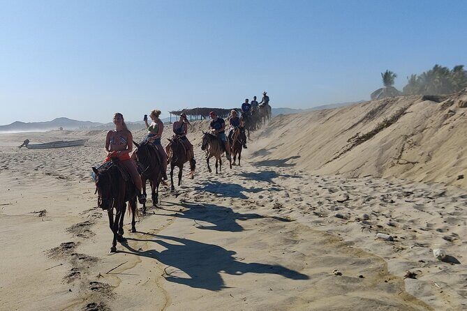 The Best Horseback Riding Trip: Wildlife, Rivers, Beach, Sunset.. - Summary: Who This Tour Is Best For