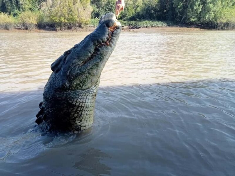 The best Litchfield Tour and the best Crocodile Cruise VIP - An In-Depth Look at the Tour Experience