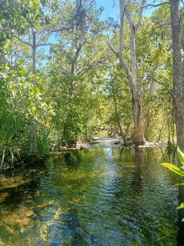 The best Litchfield Tour and the best Crocodile Cruise VIP - Who Should Consider This Tour?