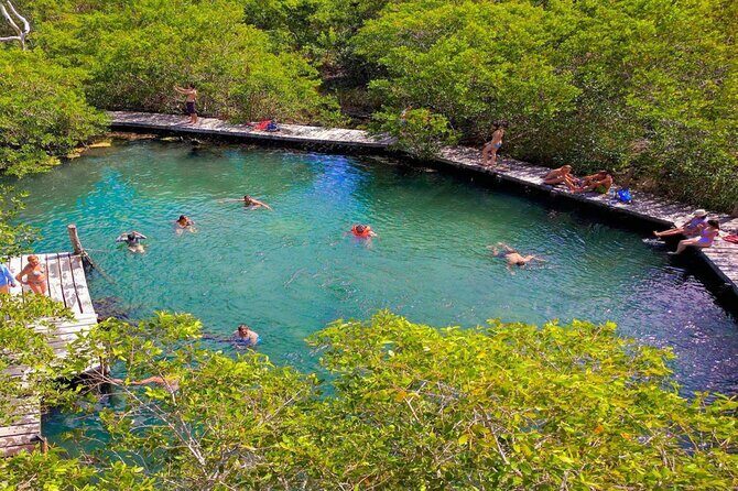 The Best of Holbox Bird Island, Passion Island and Yalahau Cenote - Is This Tour Worth It?