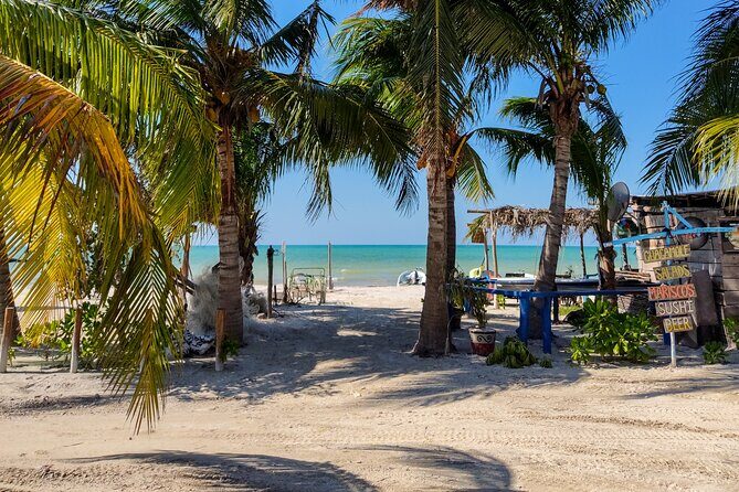 The best of Holbox from Tulum - Pricing: Value for Money?