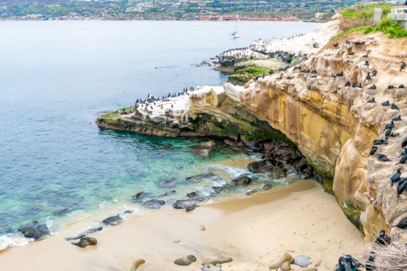 The Best of La Jolla Walking Tour - Sip, Savor & Sea - Itinerary Breakdown: What to Expect