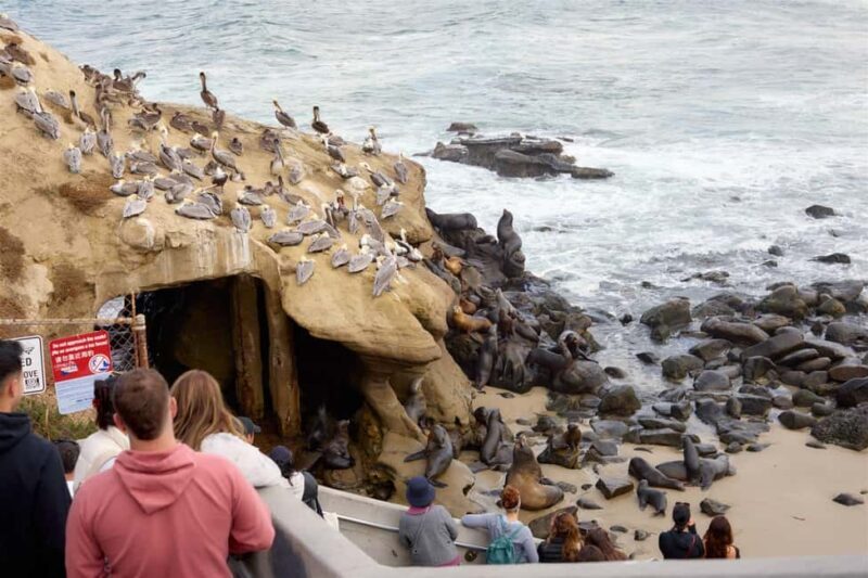 The Best of La Jolla Walking Tour - Sip, Savor & Sea - Who Should Consider This Tour?