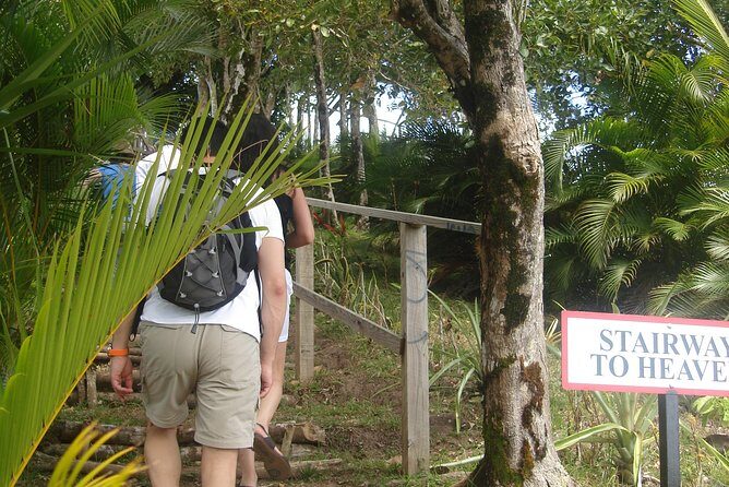 The Best of Saint Lucia Tour - Authentic Experiences and Highlights