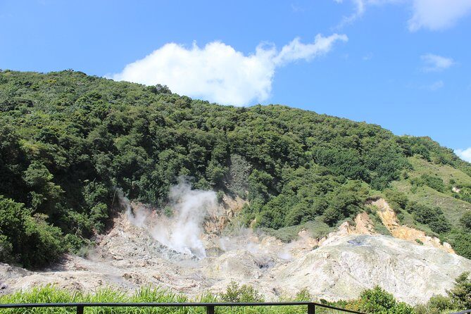 The Best of Saint Lucia Tour - Who Should Consider This Tour?
