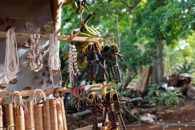 The Best of Siquijor Island Tour - Exploring the Best of Siquijor Island Tour