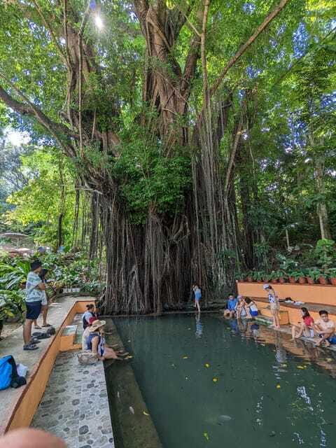 The Best of Siquijor Island Tour - Who Will Love This Tour?